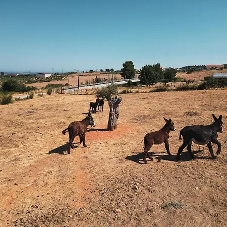 Rural Sra De Pereiras Hotel 3*
