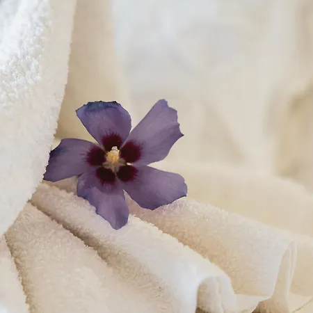 Hotel Rural Sra De Pereiras Vimioso