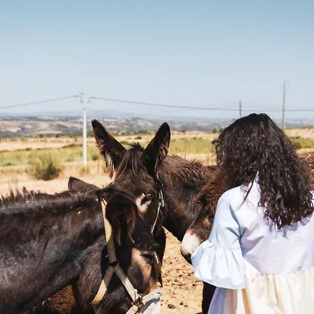 Rural Sra De Pereiras 3*