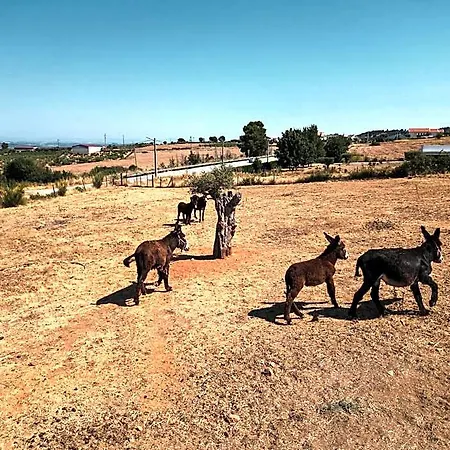 Rural Sra De Pereiras 3* Vimioso