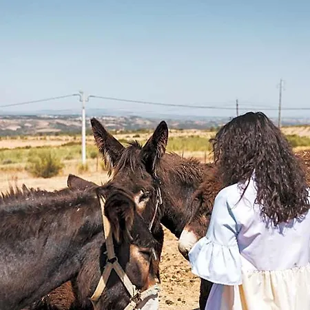 فندق Rural Sra De Pereiras Vimioso