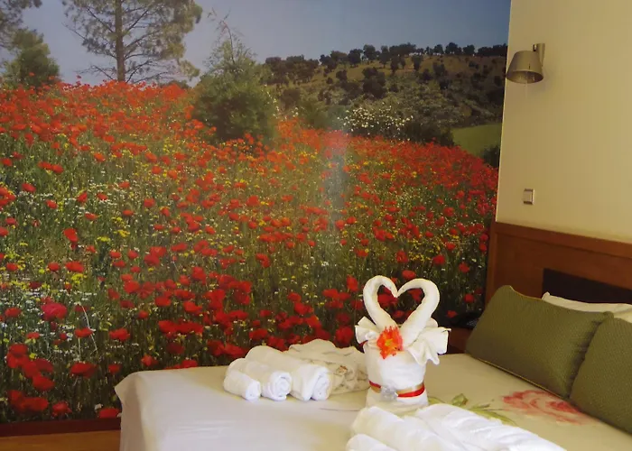 Rural Sra De Pereiras Vimioso