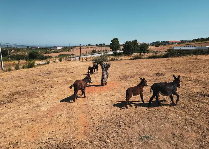 Rural Sra De Pereiras Hotel 3*