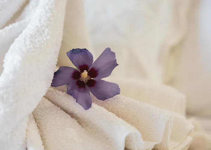 Hotel Rural Sra De Pereiras Vimioso