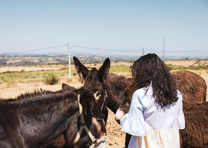 Rural Sra De Pereiras 3*